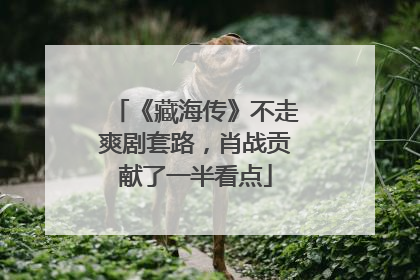 《藏海传》不走爽剧套路，肖战贡献了一半看点