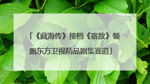 《藏海传》接档《宿敌》领跑东方卫视精品剧集赛道