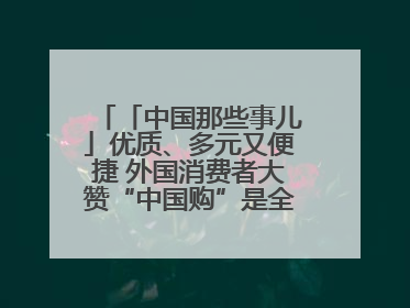 「中国那些事儿」优质、多元又便捷 外国消费者大赞“中国购”是全新体验！