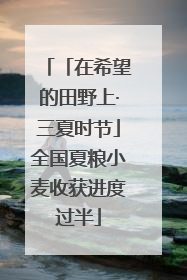「在希望的田野上·三夏时节」全国夏粮小麦收获进度过半