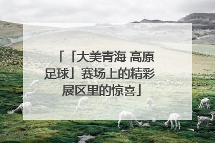 「大美青海 高原足球」赛场上的精彩 展区里的惊喜