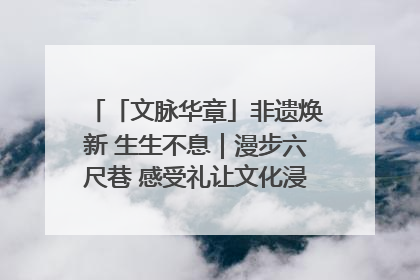 「文脉华章」非遗焕新 生生不息｜漫步六尺巷 感受礼让文化浸润的“巷”往生活