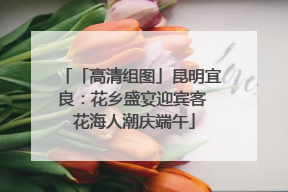 「高清组图」昆明宜良：花乡盛宴迎宾客 花海人潮庆端午