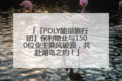 「POLY能量旅行团」保利物业与1500位业主乘风破浪，共赴湖岛之约！
