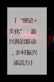 “理论+文化”：嘉兴黄岩联动，乡村振兴添活力