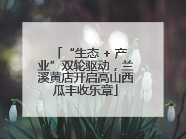 “生态 + 产业”双轮驱动，兰溪黄店开启高山西瓜丰收乐章