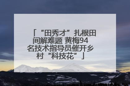 “田秀才”扎根田间解难题 黄梅94名技术指导员催开乡村“科技花”