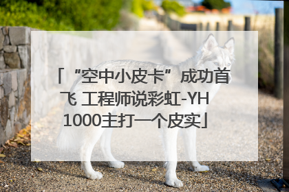 “空中小皮卡”成功首飞 工程师说彩虹-YH1000主打一个皮实