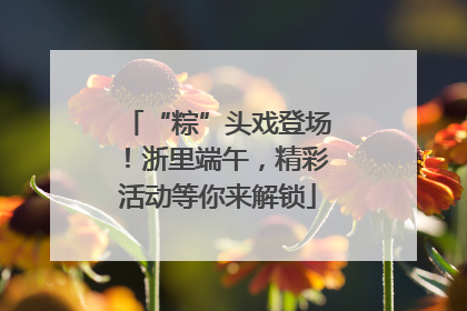 “粽”头戏登场！浙里端午，精彩活动等你来解锁