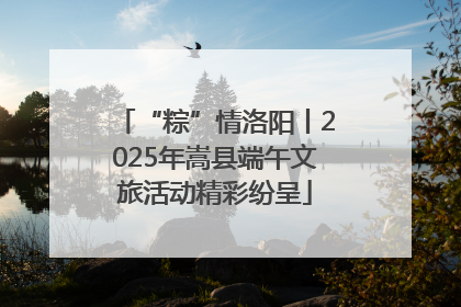 “粽”情洛阳丨2025年嵩县端午文旅活动精彩纷呈