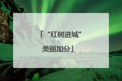“红树进城” 美丽加分