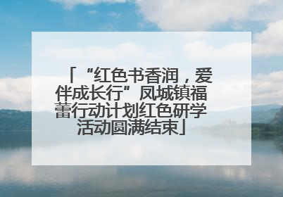 “红色书香润，爱伴成长行”凤城镇福蕾行动计划红色研学活动圆满结束