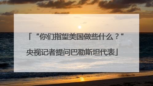 “你们指望美国做些什么？”央视记者提问巴勒斯坦代表
