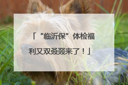 “临沂保”体检福利又双叒叕来了！