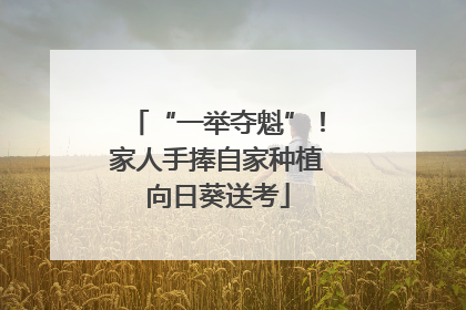 “一举夺魁”！家人手捧自家种植向日葵送考