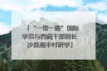 “一带一路”国际学员与西藏干部到长沙县湘丰村研学