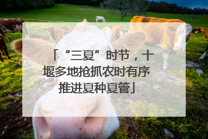 “三夏”时节，十堰多地抢抓农时有序推进夏种夏管