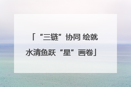 “三链”协同 绘就水清鱼跃“星”画卷