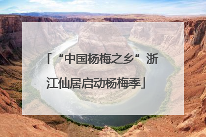 “中国杨梅之乡”浙江仙居启动杨梅季