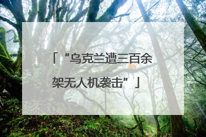 “乌克兰遭三百余架无人机袭击”