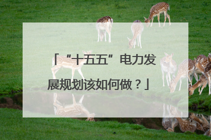 “十五五”电力发展规划该如何做？