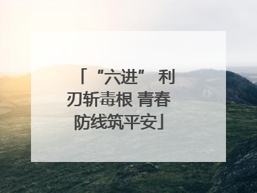 “六进” 利刃斩毒根 青春防线筑平安