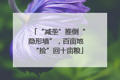 “减垄”推倒“隐形墙”，百亩地“捡”回十亩粮