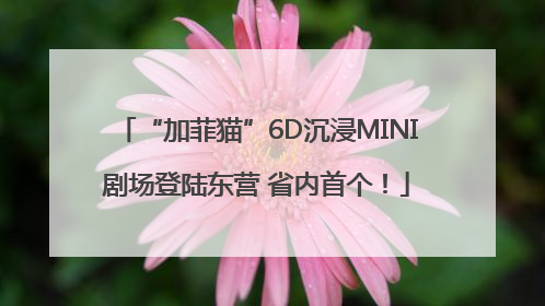 “加菲猫”6D沉浸MINI剧场登陆东营 省内首个！