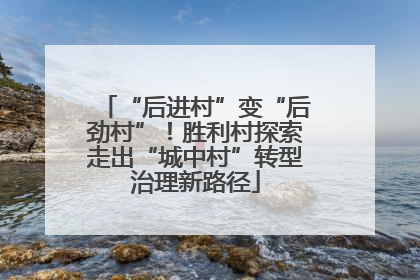 “后进村”变“后劲村”！胜利村探索走出“城中村”转型治理新路径