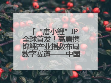 “唐小鲤”IP全球首发！高唐携锦鲤产业指数布局数字赛道——中国高唐锦鲤产业指数暨“唐小鲤”IP全球首发仪式在杭州举行