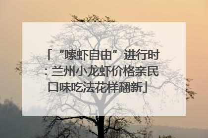 “嗦虾自由”进行时：兰州小龙虾价格亲民口味吃法花样翻新
