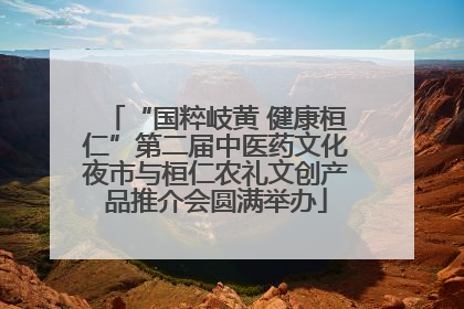 “国粹岐黄 健康桓仁”第二届中医药文化夜市与桓仁农礼文创产品推介会圆满举办