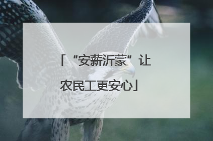 “安薪沂蒙”让农民工更安心