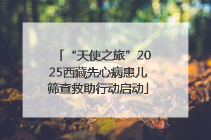 “天使之旅”2025西藏先心病患儿筛查救助行动启动