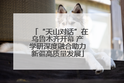 “天山对话”在乌鲁木齐开幕 产学研深度融合助力新疆高质量发展