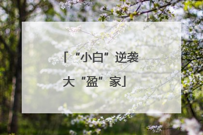 “小白”逆袭大“盈”家