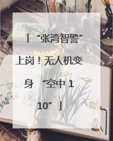 “张湾智警”上岗！无人机变身 “空中 110”