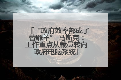 “政府效率部成了替罪羊” 马斯克：工作重点从裁员转向政府电脑系统