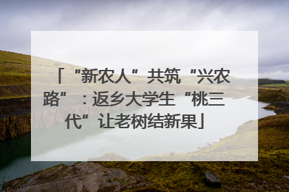 “新农人”共筑“兴农路”：返乡大学生“桃三代”让老树结新果