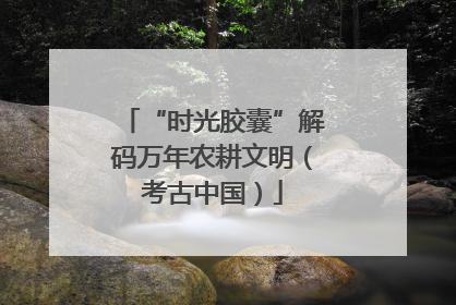 “时光胶囊”解码万年农耕文明（考古中国）