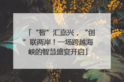 “智”汇嘉兴，“创”联两岸！一场跨越海峡的智慧盛宴开启