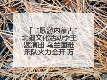 “歌游内蒙古”北疆文化活动季主题演出 乌兰图雅乐队火力全开 万人合唱嗨翻全场