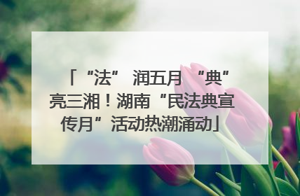 “法” 润五月 “典” 亮三湘！湖南“民法典宣传月”活动热潮涌动