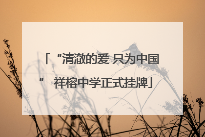 “清澈的爱 只为中国” 祥榕中学正式挂牌