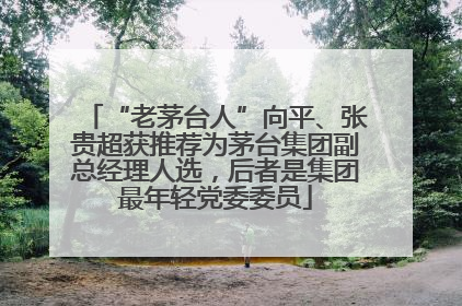 “老茅台人”向平、张贵超获推荐为茅台集团副总经理人选，后者是集团最年轻党委委员