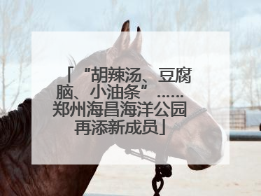 “胡辣汤、豆腐脑、小油条”……郑州海昌海洋公园再添新成员