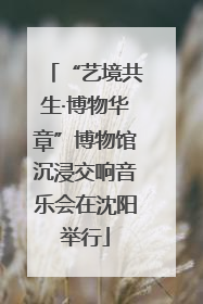 “艺境共生·博物华章”博物馆沉浸交响音乐会在沈阳举行