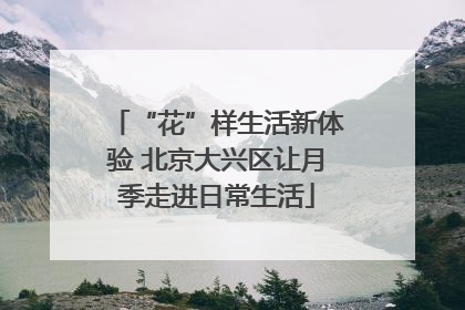 “花”样生活新体验 北京大兴区让月季走进日常生活