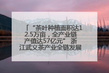 “茶叶种植面积达12.5万亩，全产业链产值达57亿元” 浙江武义茶产业全链发展“加速度”
