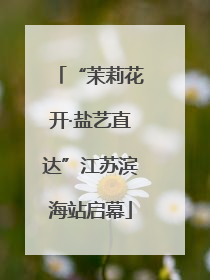 “茉莉花开·盐艺直达”江苏滨海站启幕